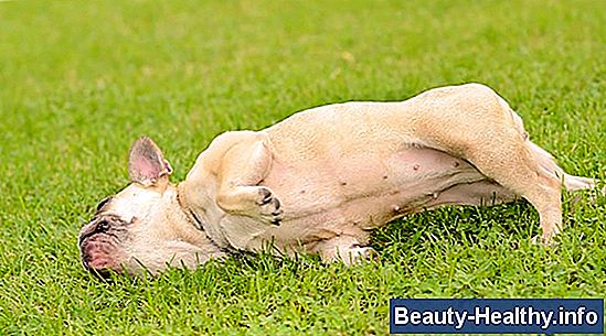 Alergia a Nylon