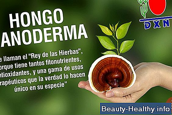 Beneficios del extracto de saúco