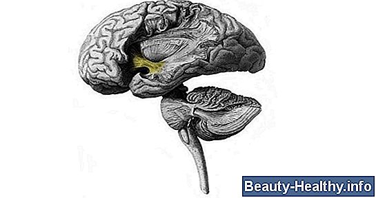 Características sociopáticas de la personalidad