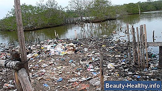 Causas de los problemas ambientales