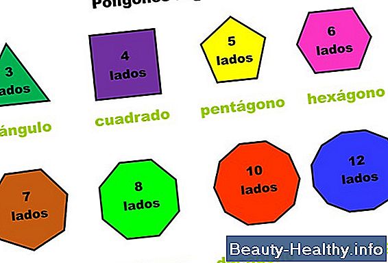 C贸mo calcular el volumen del trazo