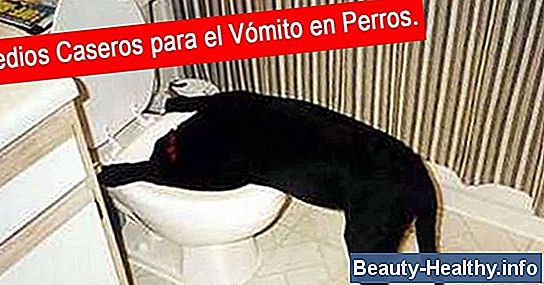 C贸mo curar el v贸mito y la diarrea