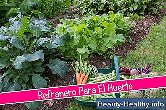 Cómo deshacerse del hongo del clavo del dedo del pie