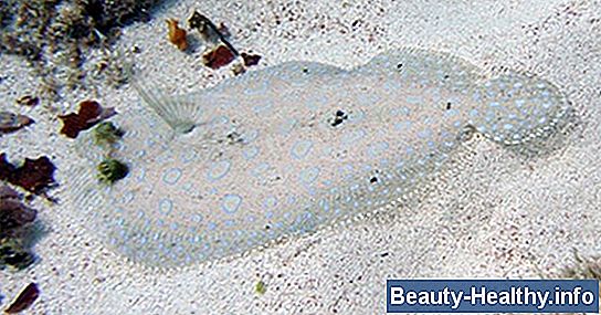 Cómo hacer señuelos de pescado GAR de Nylon