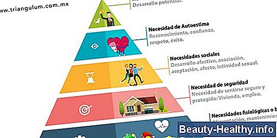 ¿Cuáles son las cinco formas en que las bacterias pueden ser dañinas?