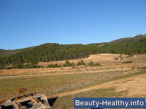 ¿Cuánto tiempo se mantendrá el agua potable?