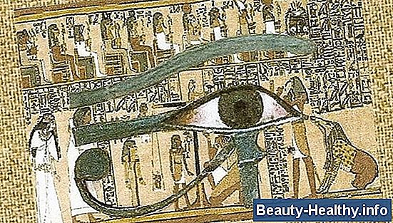 ¿De qué está hecho el ojo humano?