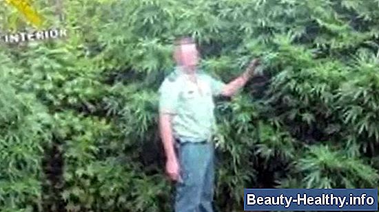 Efectos de Skunk Spray en humanos