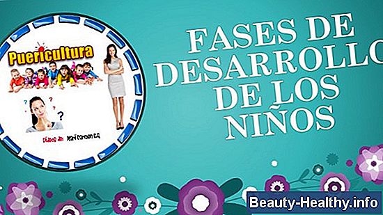 Etapas evolutivas de la tiña