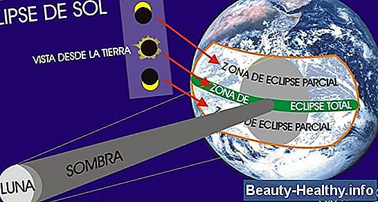 Instrucciones del primer term贸metro de seguridad