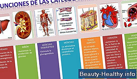 La diferencia entre las catecolaminas y las noncatecholaminas