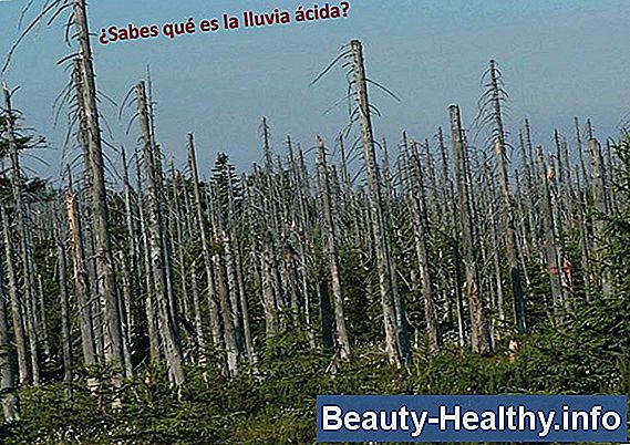 ¿Qué es la enfermedad intestinal isquémica?