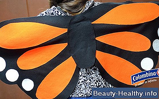 驴Qu茅 es una aguja de mariposa?