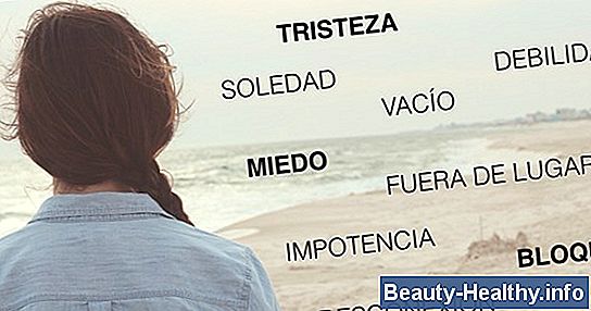 ¿Qué parte del cerebro controla las emociones?