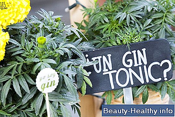 驴Qu茅 son las flores de Gin?
