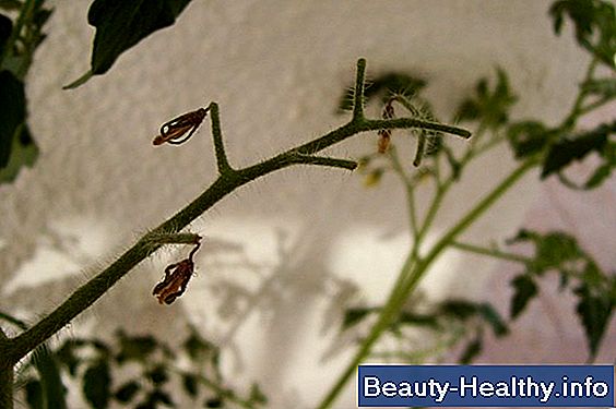 Remedio casero para Cherry Angiomas