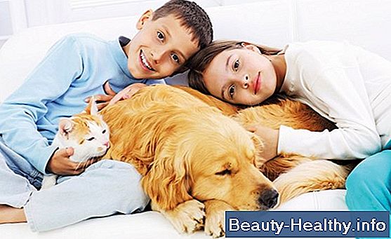Tiempo de recuperaci贸n para herpes z贸ster