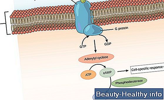 Epinephrine Vs. noradrenalin