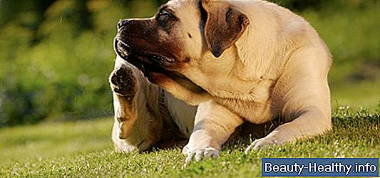 Hjem Behandling for Ingrown Toenails