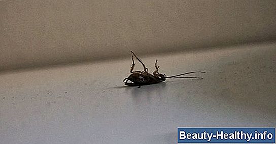 Hvordan å drepe en båndorm naturlig