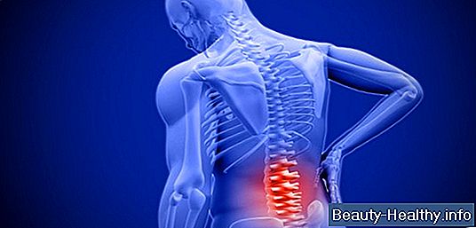 Hva gjør ligamentene i skjelettsystemet?