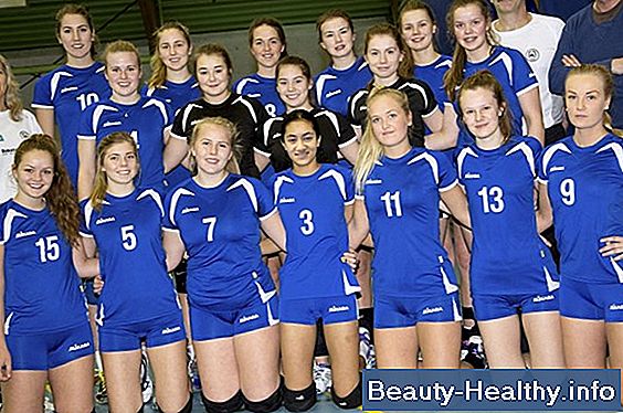 Hva er en volleyball av?