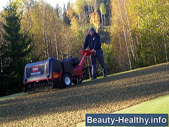 Vedlikehold og pleie av en NordicTrack Skier