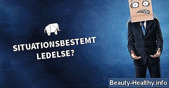 Hvorfor har den rette lungen 3 lobes og venstre 2?