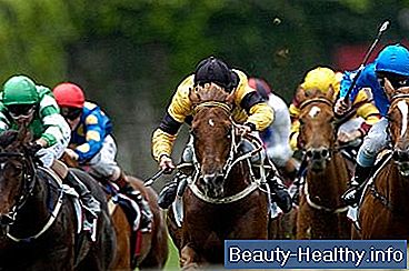 C贸mo apostar en carreras de caballos