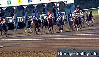 C贸mo calcular las cifras de velocidad para las carreras de caballos