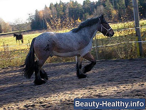 Hur man fryser vitaminer