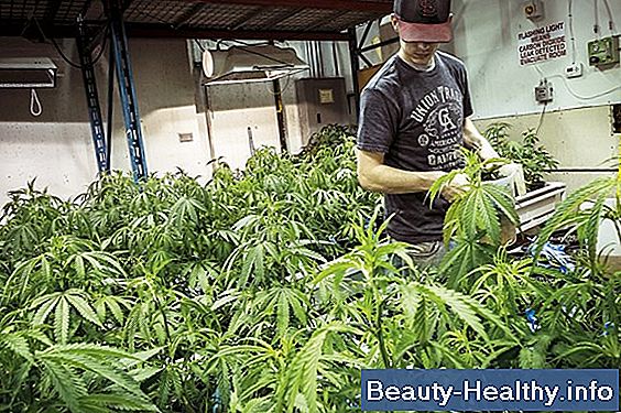 Marijuana effekter pÄ cirkulationssystemet